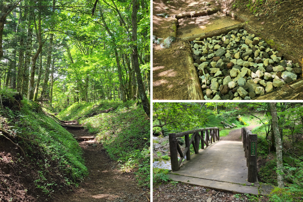 吉田口登山道　麓ルート　登山道