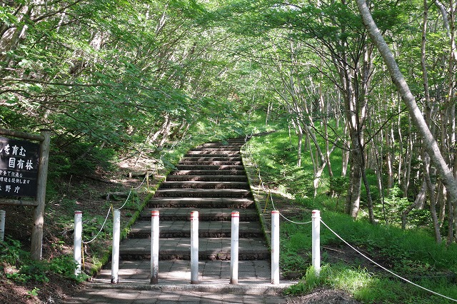 須走ルートの登山道の写真06