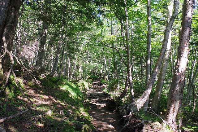 須走ルートの登山道の写真08