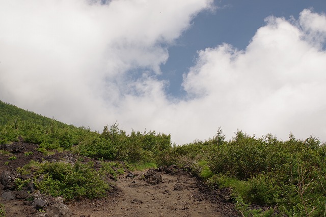 須走ルートの登山道の写真14