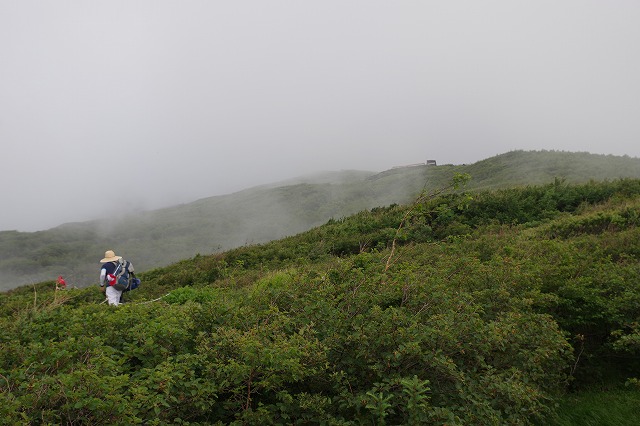 須走ルートの登山道の写真19