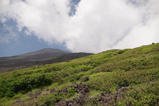 須走ルートの登山道の写真29