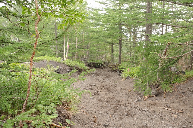 須走ルートの登山道の写真88